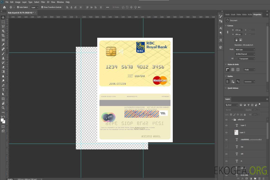 Tunisie Mastercard RBC Banque Royale template Tunisie Mastercard RBC Banque Royale template